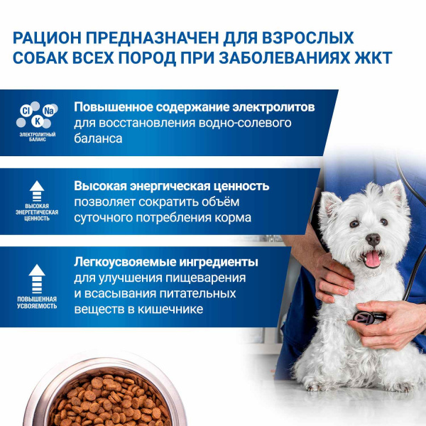 Диетический корм Monge VetSolution Dog Gastrointestinal Гастроинтестинал для собак при заболеваниях ЖКТ 2 кг